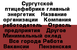 Сургутской птицефабрике главный энергетик › Название организации ­ Компания-работодатель › Отрасль предприятия ­ Другое › Минимальный оклад ­ 1 - Все города Работа » Вакансии   . Пензенская обл.,Мокшанский р-н